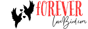 foreverlovebird.com